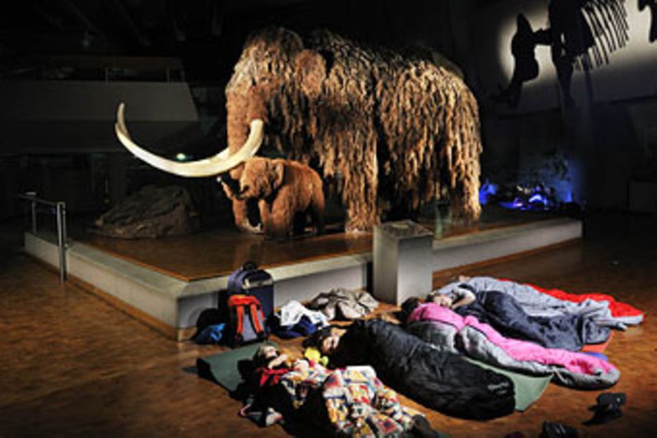 Fotogalerie: Nachts im Museum