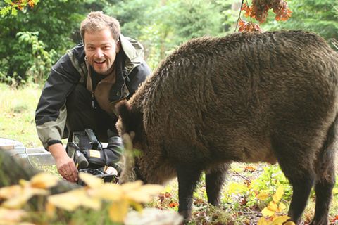 Beruf: Naturfilmer