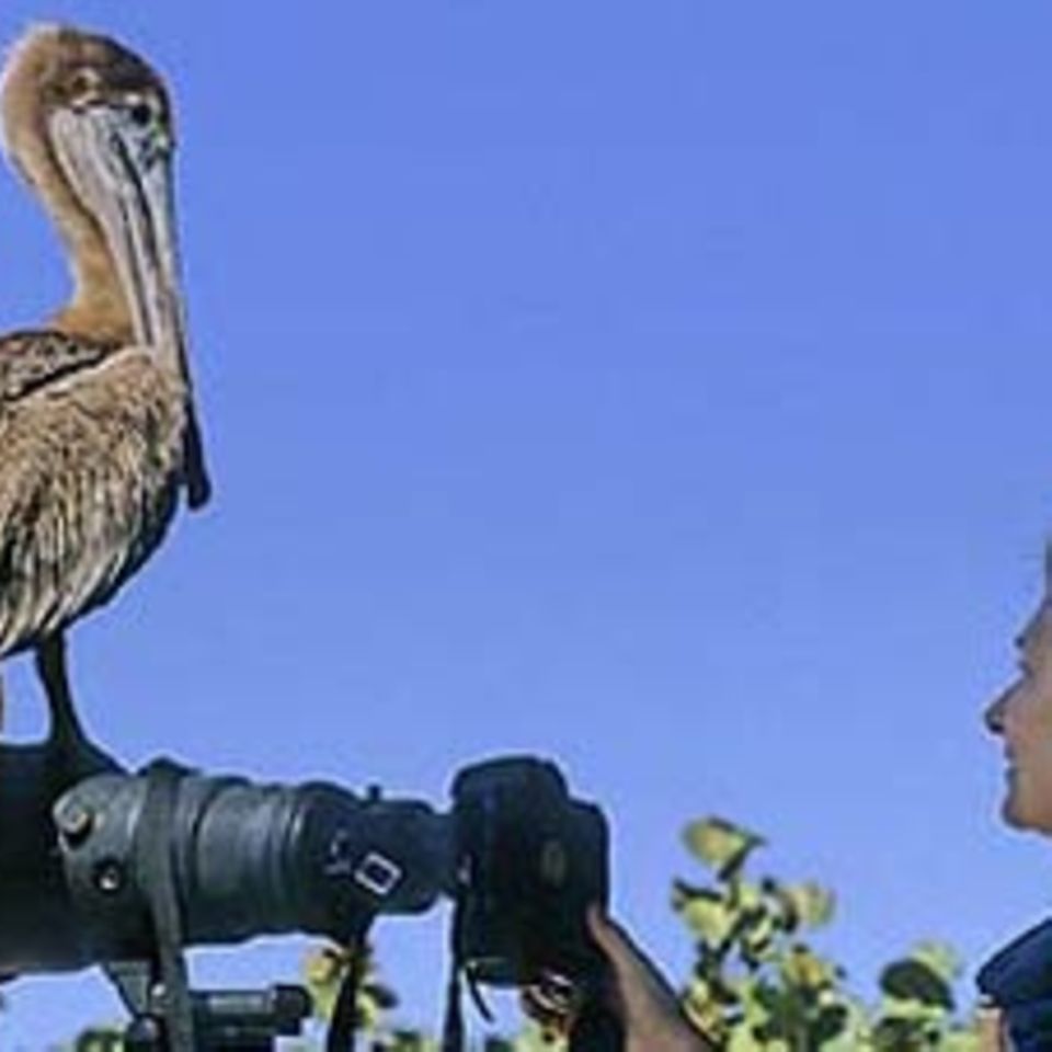 Berufsbild: Tierberufe: Zwei Beine für vier Pfoten