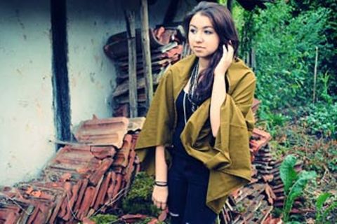 Beruf: Blogger/in