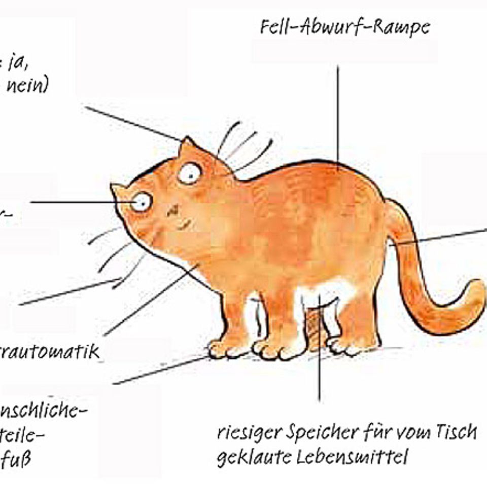 Buchtipp: Katze - Deutsch/ Deutsch - Katze