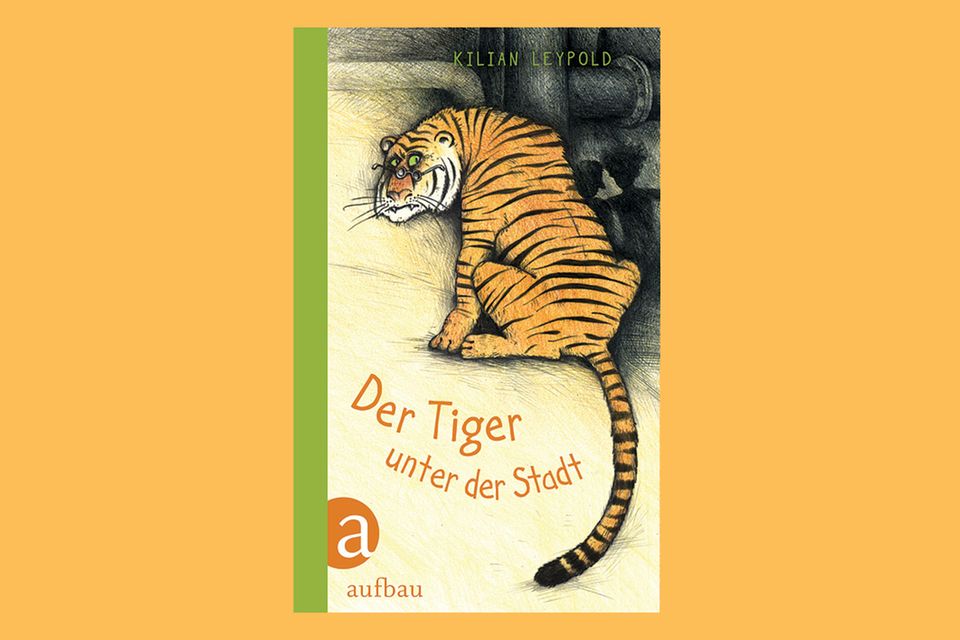 Roman: „Der Tiger unter der Stadt“ von Kilian Leypold