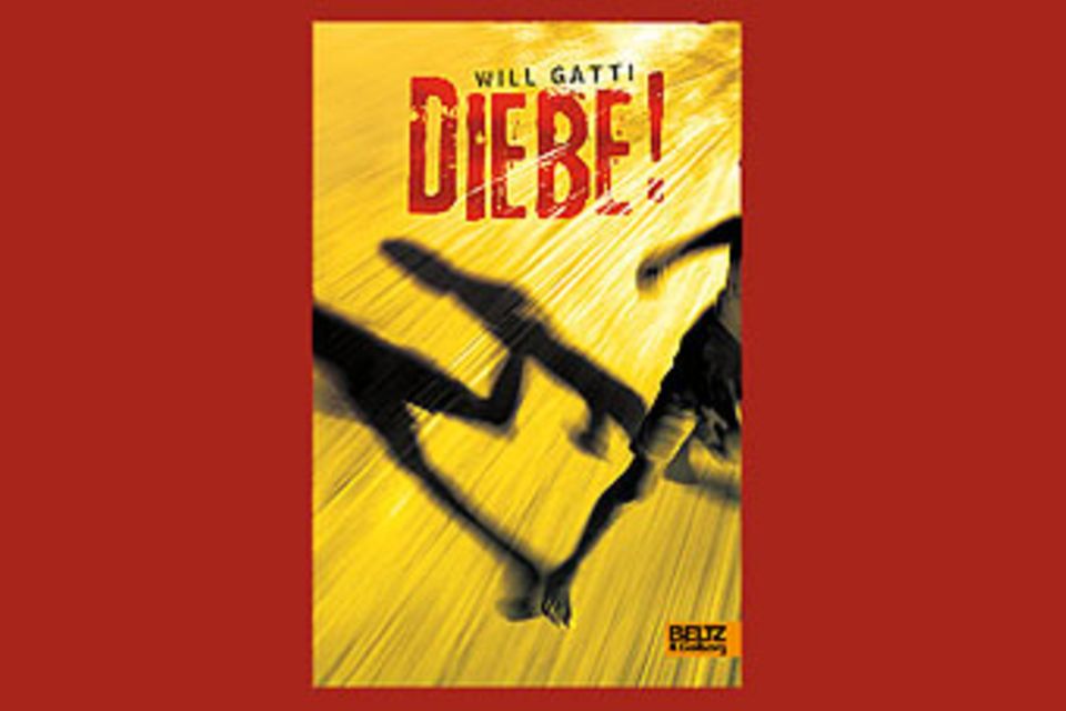 Bücher: "Diebe!" von Will Gatti