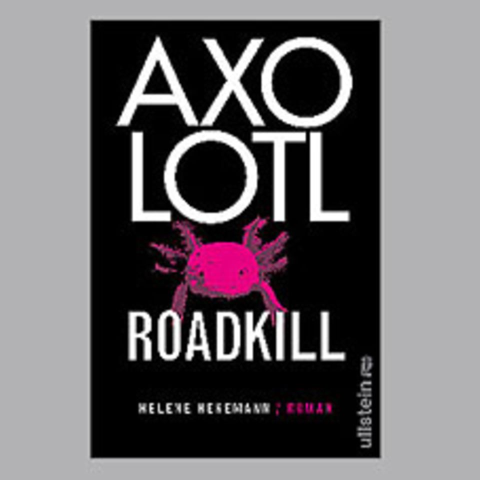 Bücher: "Axolotl Roadkill" von Helene Hegemann