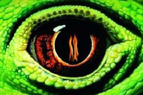 Buchtipp: Von Drachen und Elfen