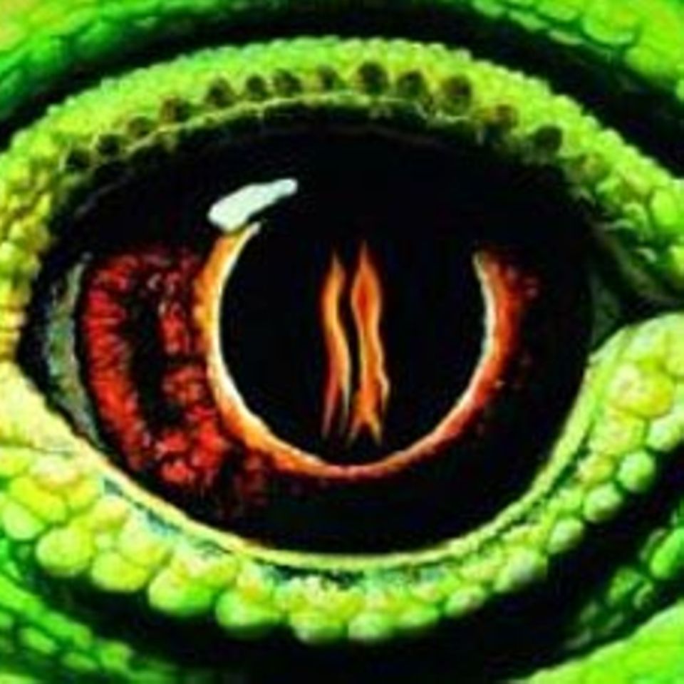 Buchtipp: Von Drachen und Elfen