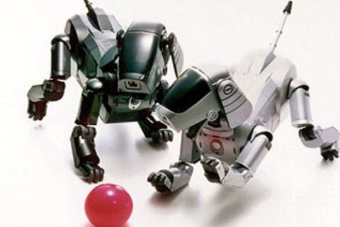 Technik: Roboter: Lebewesen aus Stahl