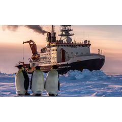 Fotostrecke: Auf dem Forschungsschiff "Polarstern"
