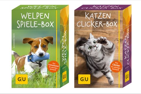 Welpen-Spiele- und Katzen-Clicker-Box