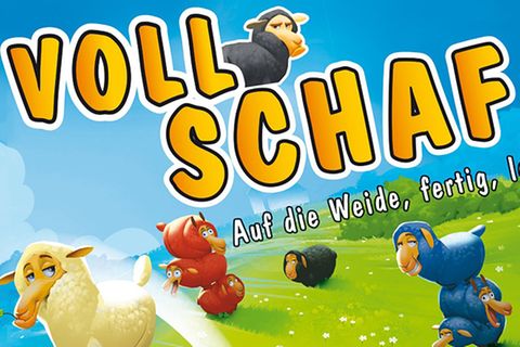 Spieletests: Spieltipp: Voll Schaf