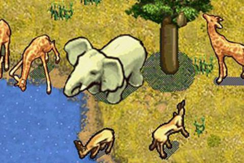 Spieletest: "Ab nach Afrika!"