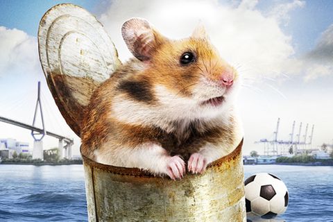 Kino: DVD-Tipp: Rettet Raffi!