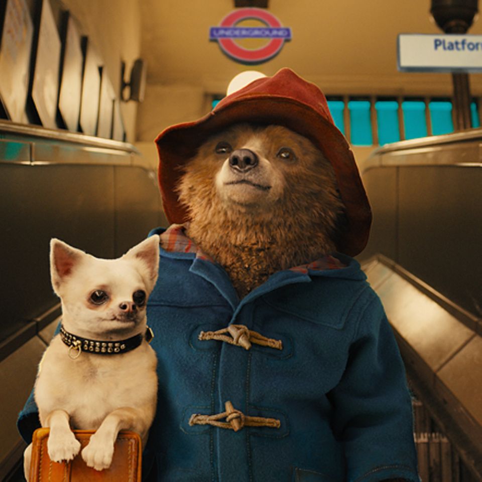Film: DVD-Tipp: Paddington