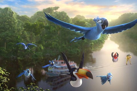 Film: Kinotipp: Rio 2 - Dschungelfieber