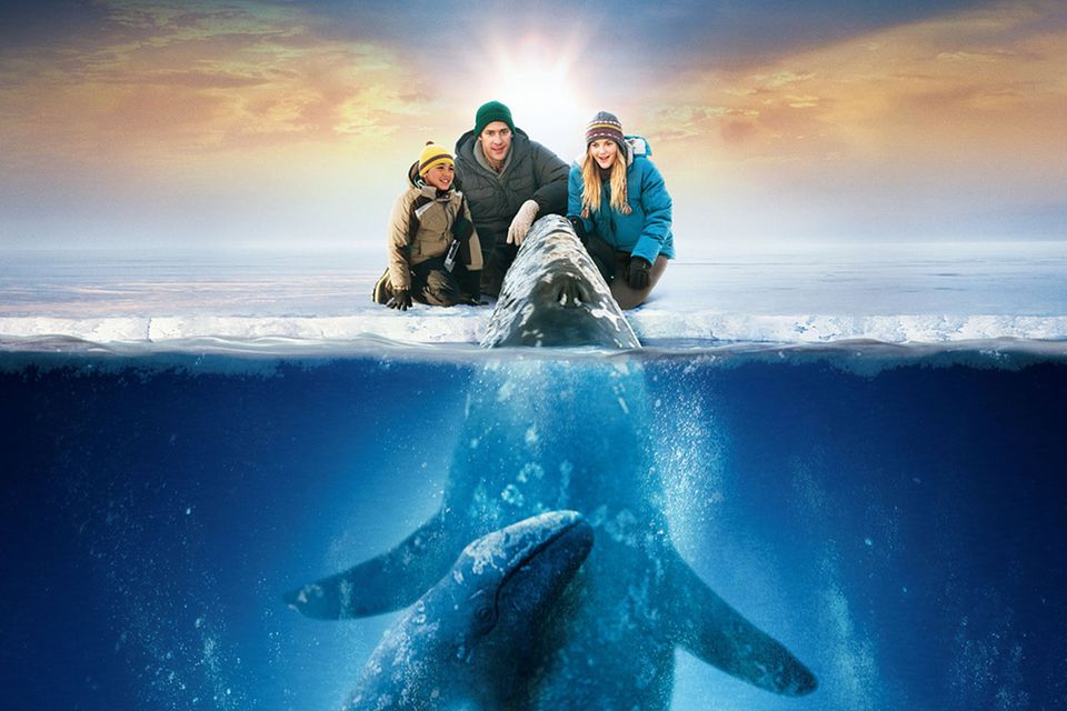 Kinotipp: Kinotipp: Der Ruf der Wale