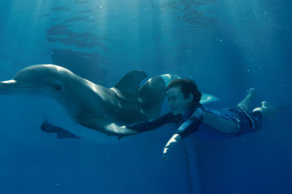 Kinotipp: Mein Freund der Delfin