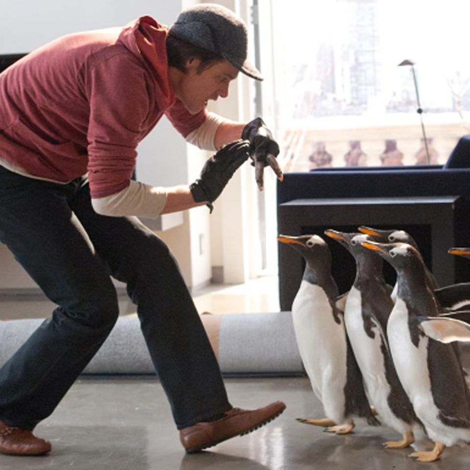 Kinotipp: Mr. Poppers Pinguine