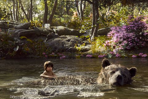 Kino: Filmtipp: The Jungle Book