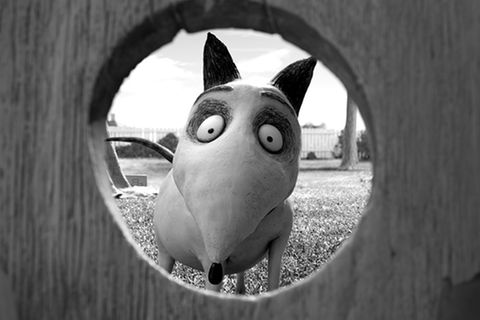 Film: Kinotipp: Frankenweenie