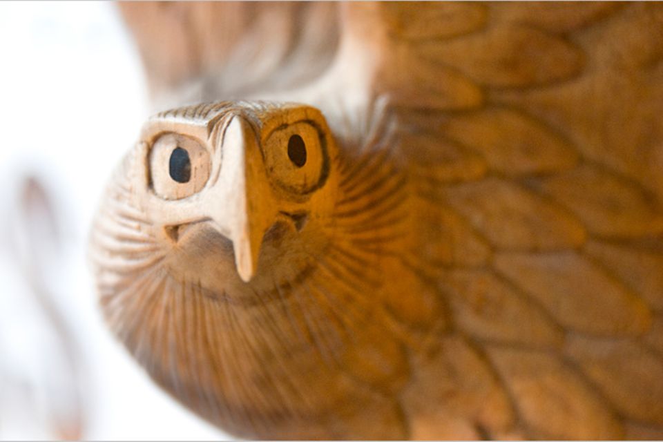 Redewendung: Den Vogel abschießen