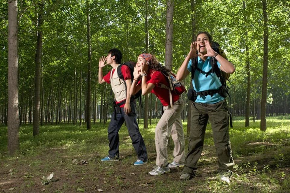 Redewendung: Wie man in den Wald hinein ruft, so schallt es heraus