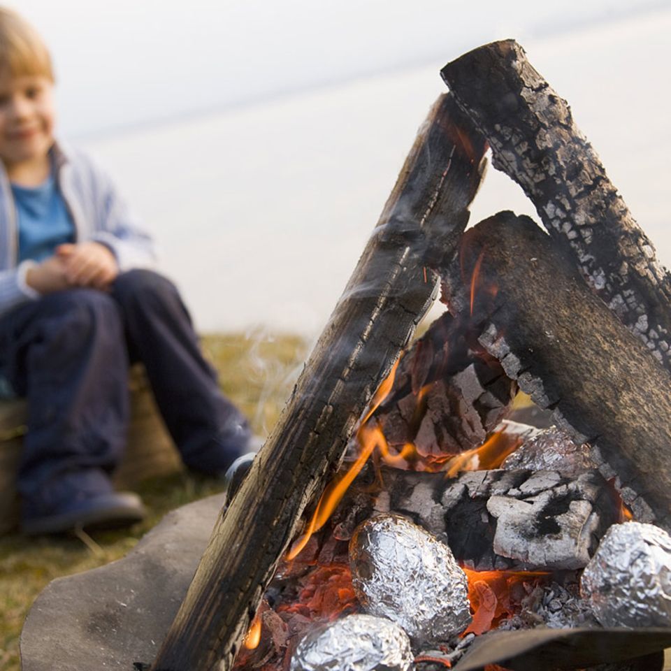 Redewendung: Für jemanden die Kartoffeln aus dem Feuer holen