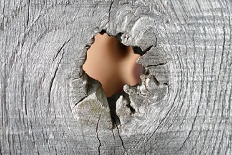 Redewendung: Holzauge, sei wachsam!