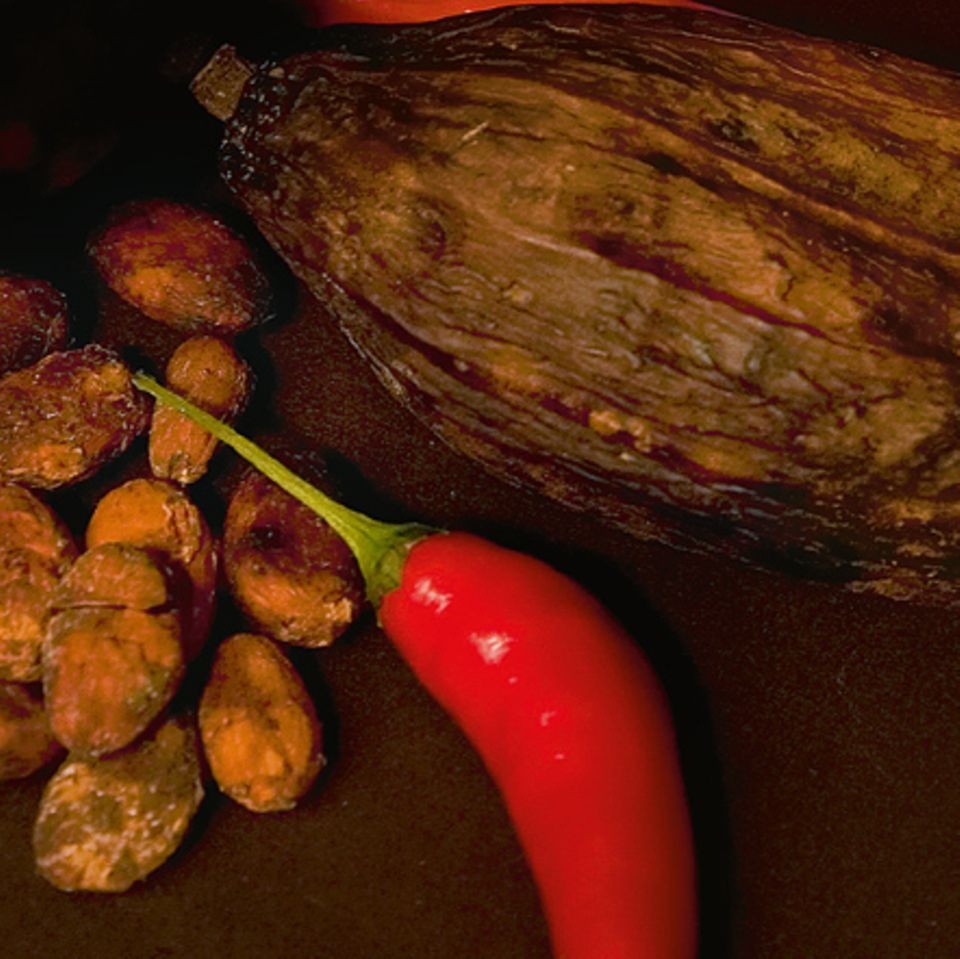 Rezepte: Feurige Kakao-Rezepte
