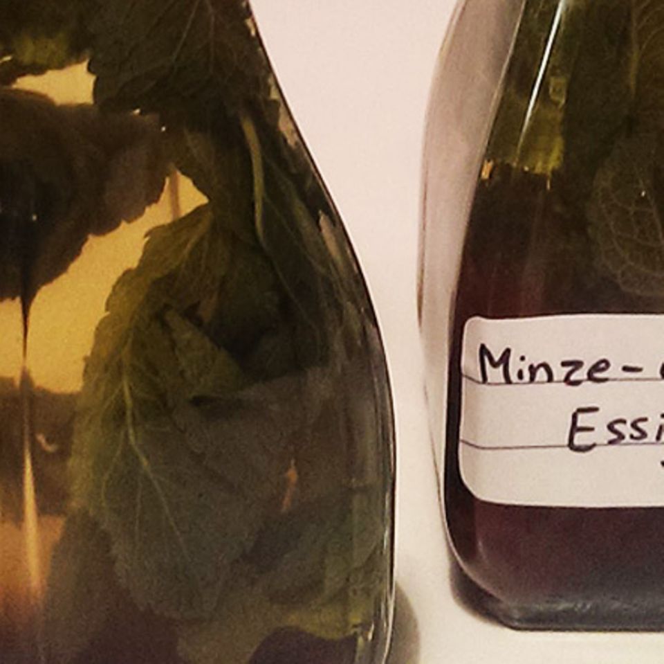 Rezept: Minze-Cranberry Essig