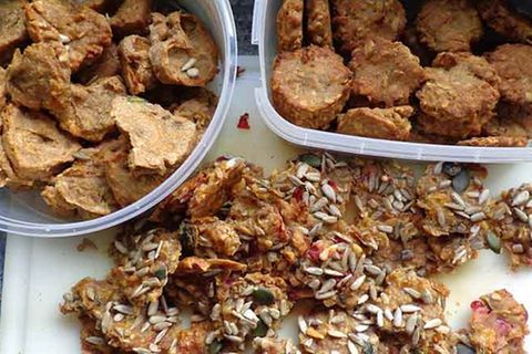 Backen: Tier-Leckerchen