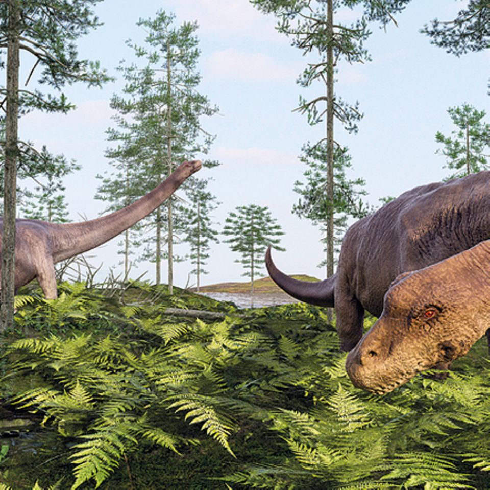 Tierlexikon: Dreadnoughtus schrani