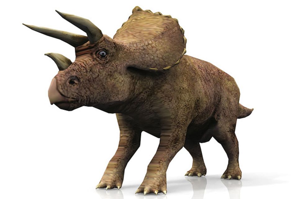 Tierlexikon: Triceratops