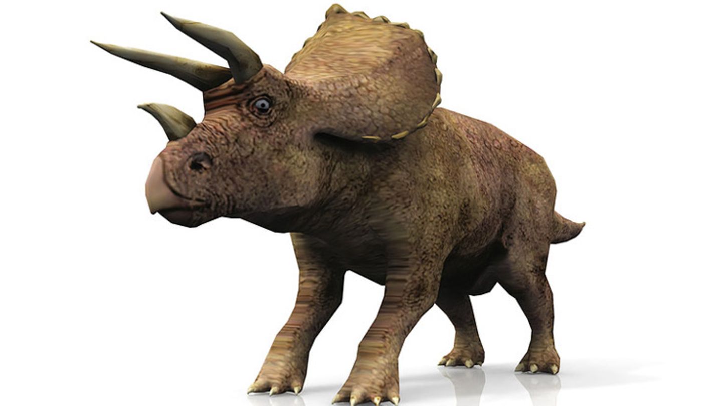 Triceratops: Infos zum Dino im Tierlexikon - [GEOLINO]