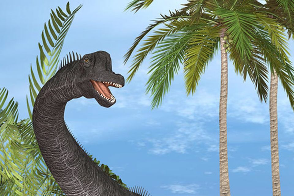 Tierlexikon: Brachiosaurus
