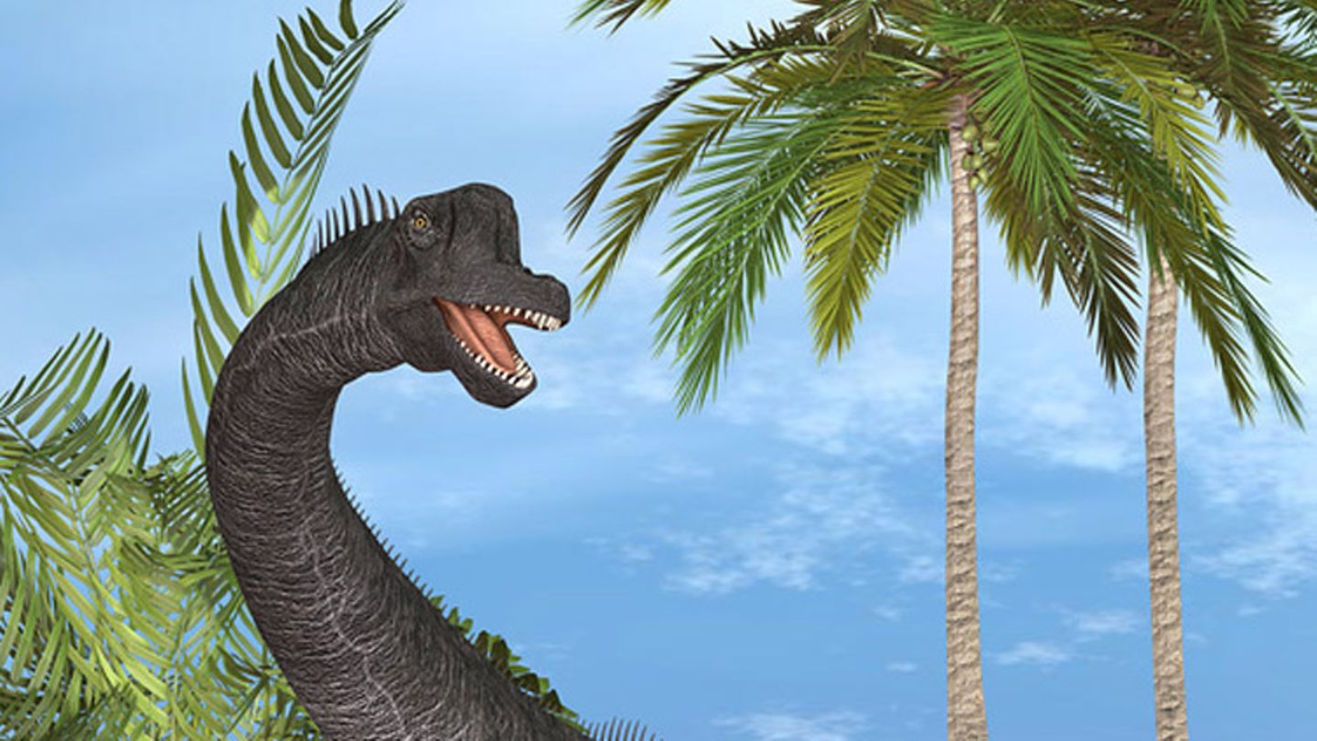 Brachiosaurus: Infos im Tierlexikon - [GEOLINO]