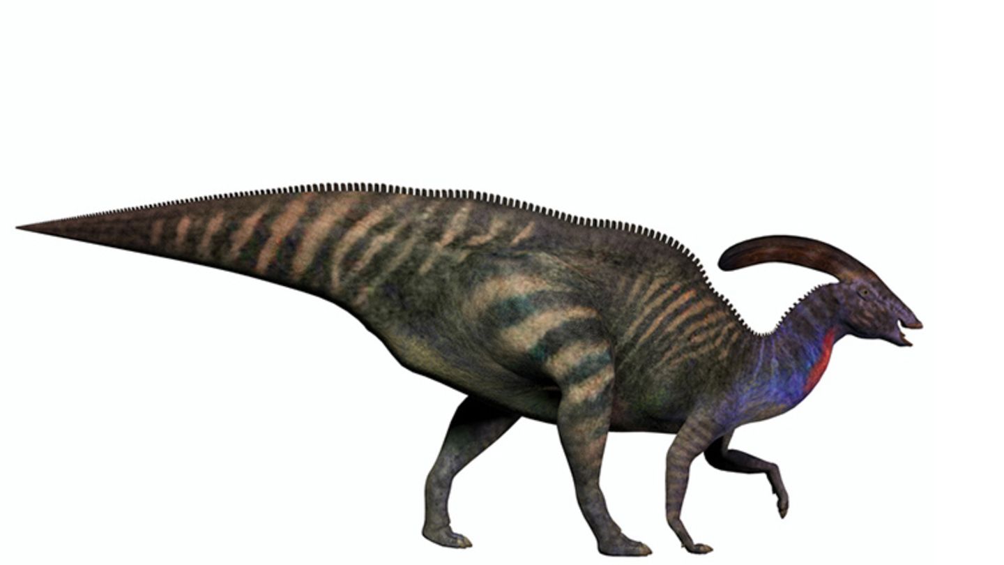 Tierlexikon Parasaurolophus [GEOLINO]