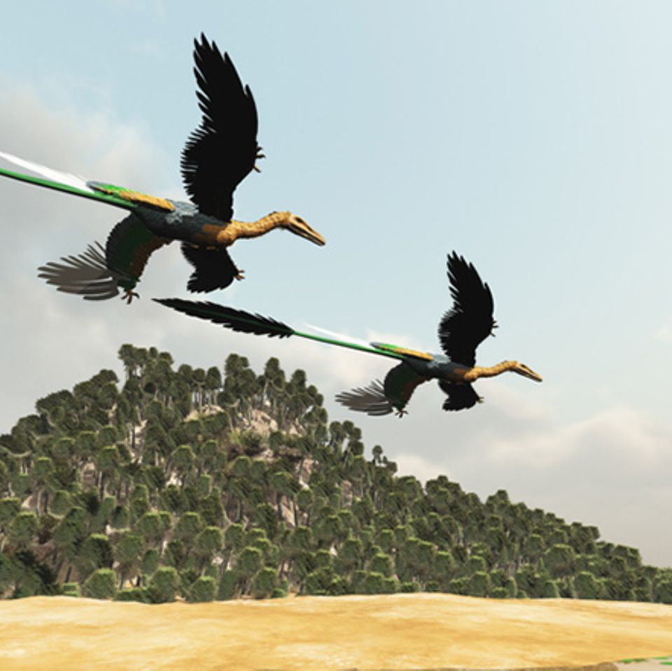 Tierlexikon: Microraptor