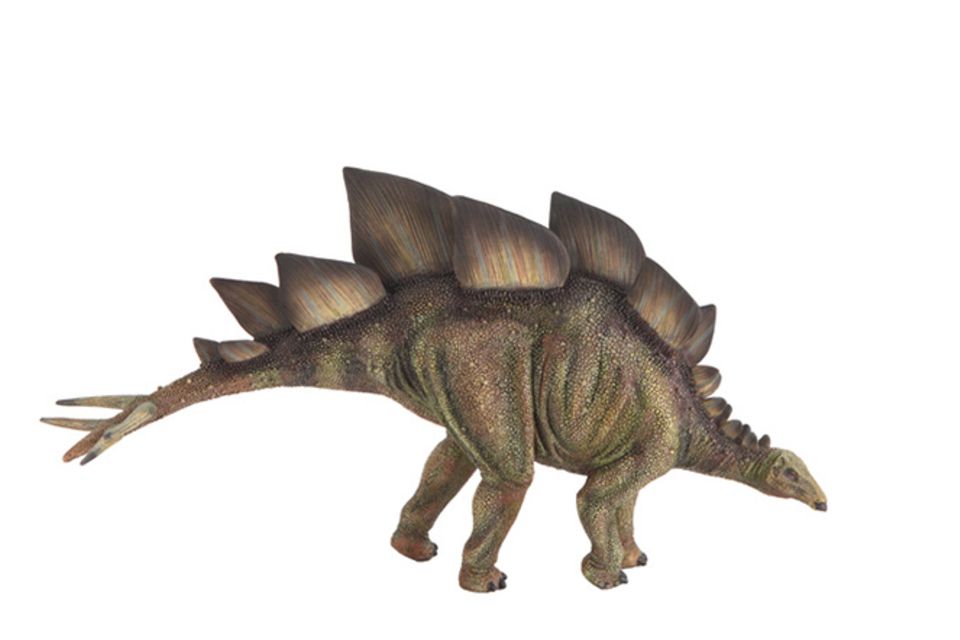 Tierlexikon: Stegosaurus