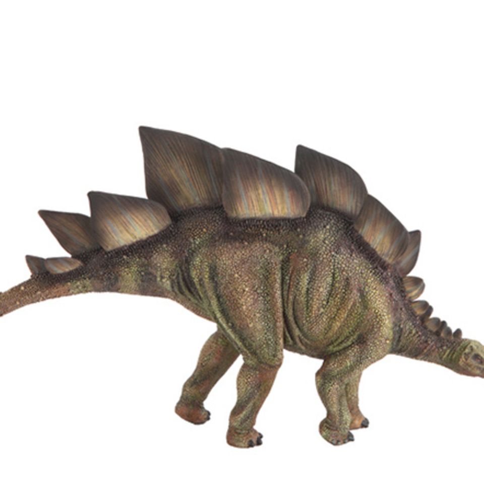 Tierlexikon: Stegosaurus