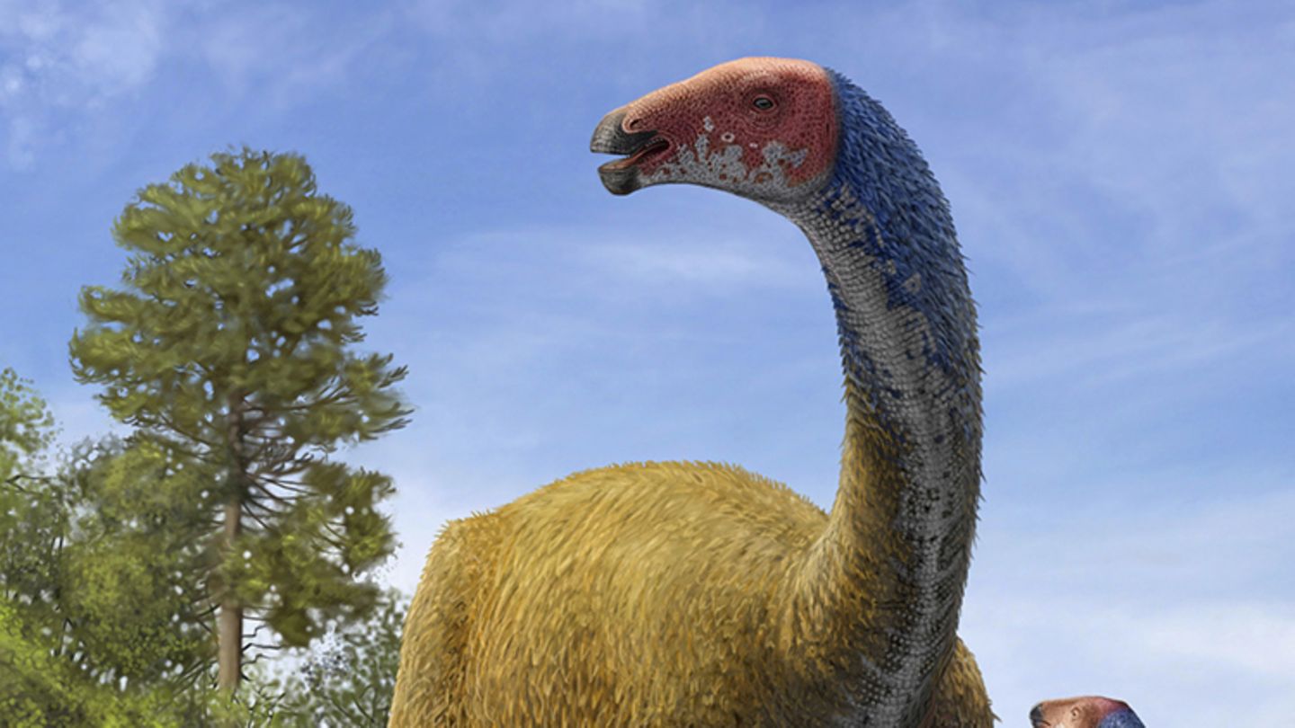  Tierlexikon  Therizinosaurus GEOLINO  