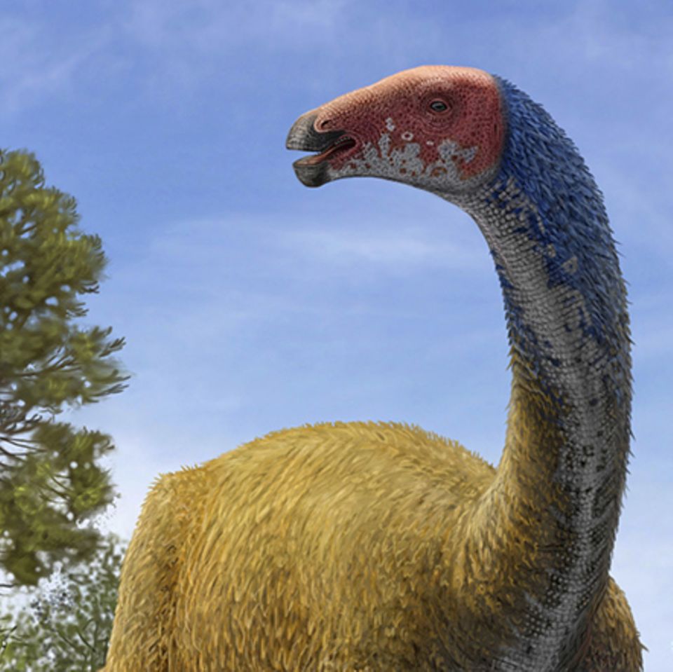 Tierlexikon: Therizinosaurus