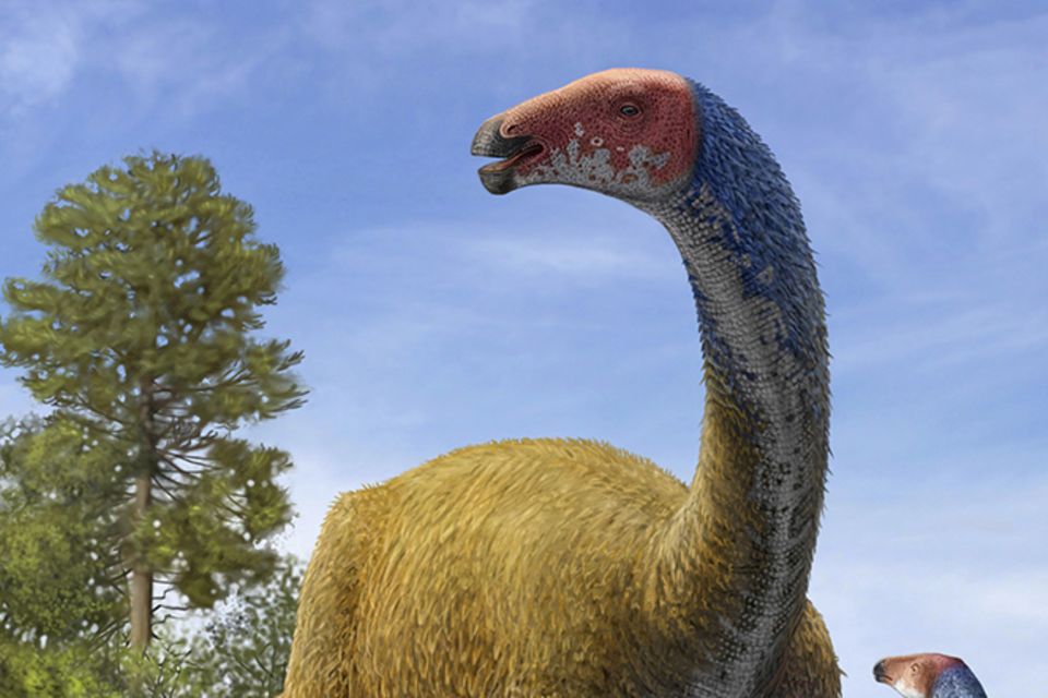 Tierlexikon: Therizinosaurus