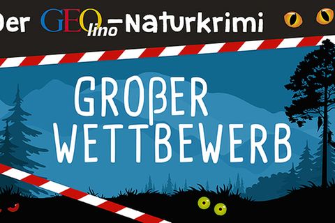 GEO Tag der Artenvielfalt: Der GEOlino-Naturkrimi Wettbewerb