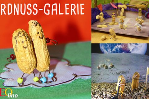 Lasst es krachen: Fotogalerie: Erdnuss-Kunst