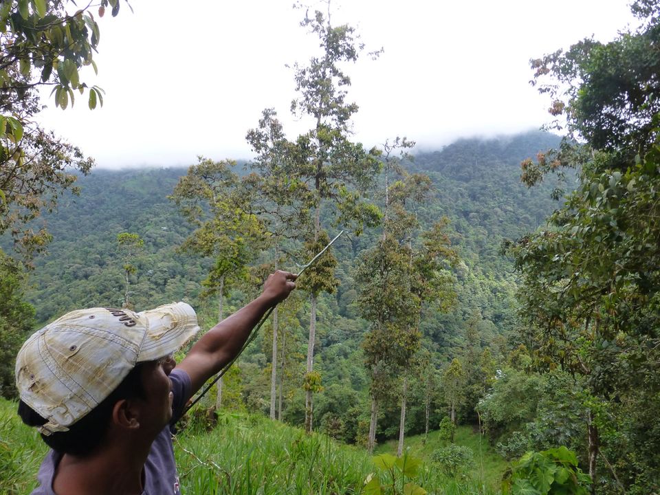 Ecuador: Artenreicher Nebelwald bedeckt die Berghänge Ecuador: Artenreicher Nebelwald bedeckt die Berghänge