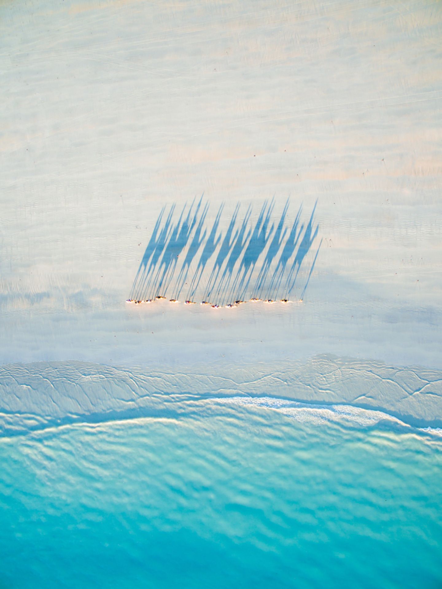 2. Platz Kategorie "Travel": Todd Kennedy Kamele aus der Luft am Strand von Broome in Australien