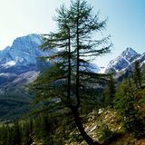 Grande Traversata, Alpe Veglia