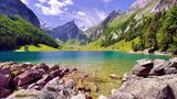 Seealpsee im Alpsteingebirge, dahinter Säntis, Kanton Appenzell