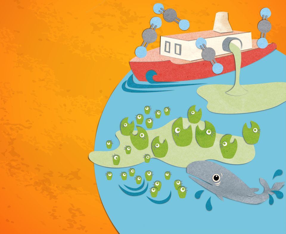 Klimawandel: Plankton könnte als Klimaretter helfen, da es Kohlendioxid aufnimmt Klimawandel: Plankton könnte als Klimaretter helfen, da es Kohlendioxid aufnimmt