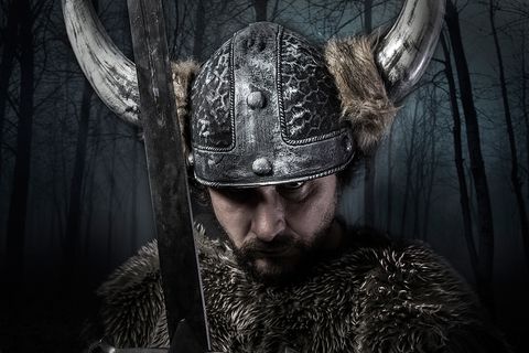 Kultur: Die Wikinger
